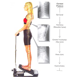 SPINE-FLEX tm INCLIND MASSAGER