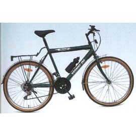 Citybike (Citybike)