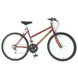 Montain bike (Montain bike)