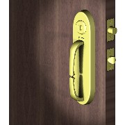 Entrance door lock (Замок входной двери)