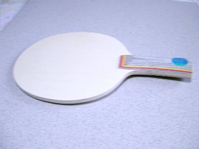 Table tennis racket (Table Tennis)