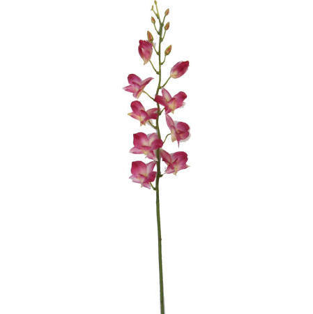 Dendrobium Spray-38`` (Dendrobium Spray-38``)