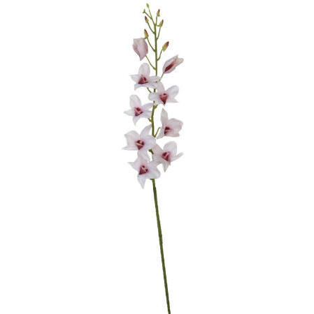 Dendrobium Spray- 38`` (Dendrobium Spray- 38``)