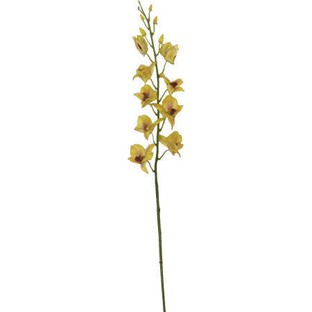 Dendrobium Spray- 38`` (Dendrobium Spray- 38``)