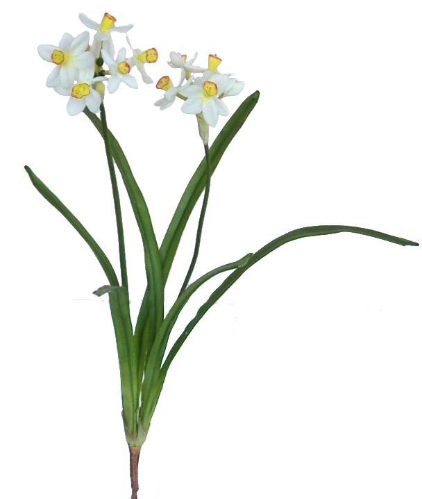 Narcissus Spray- 19`` (Narcisse Spray-19``)