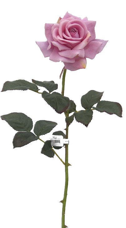 Rose Spray- 30`` (Роза Spray-30``)