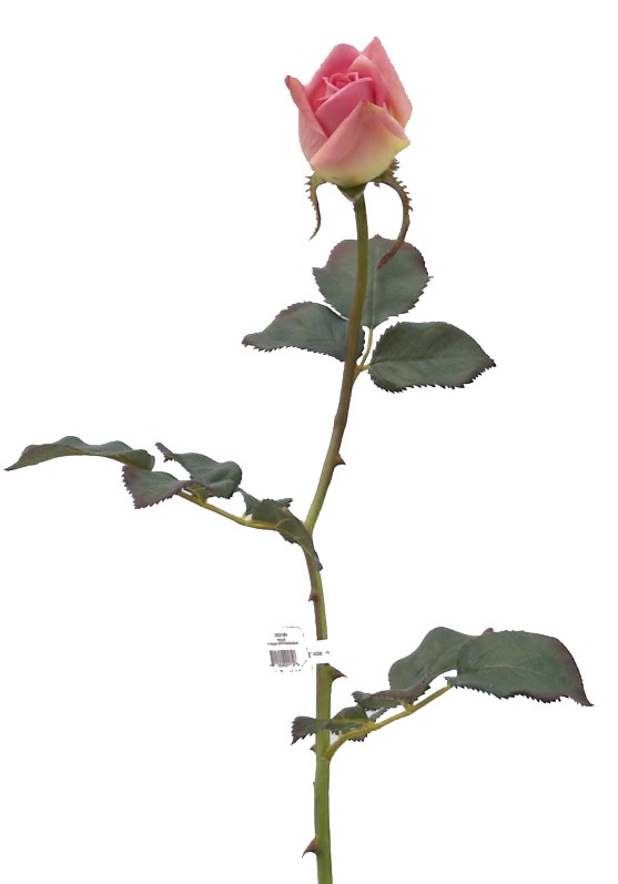 Rose Bud Spray- 30`` (Rose Bud Spray-30``)