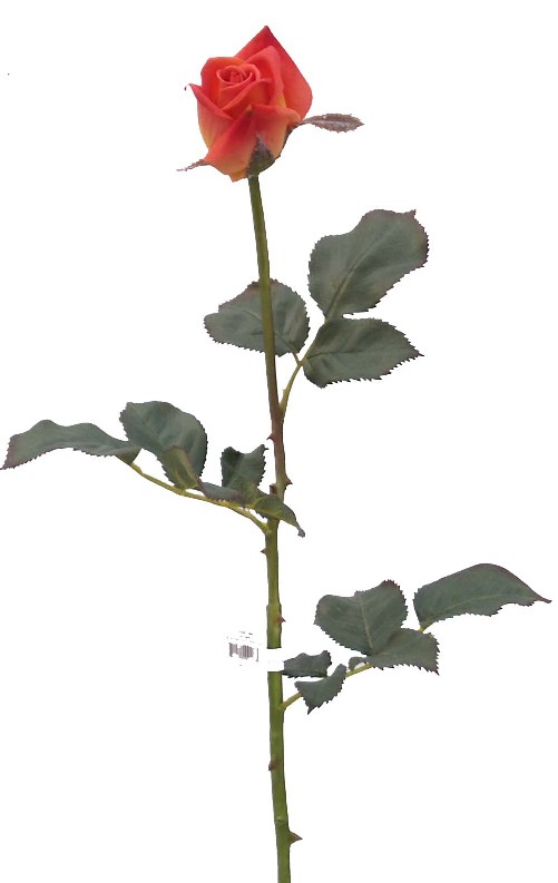 Rose Bud Spray- 30`` (Rose Bud Spray-30``)