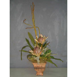 32``H POTTED PROTEA & HORSE TAIL (32``H Zimmerpflanzen PROTEA & Horse Tail)