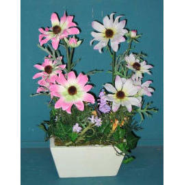 14``H POTTED DAISY (14``H POTTED DAISY)