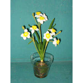 11``H POTTED NARCISSUS (11``H горшках НАРЦИСС)