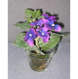 7``H POTTED VIOLET (7``H EMPOTE VIOLET)