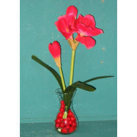 20`` POTTED AMARYLLIS (20`` POTTED AMARYLLIS)