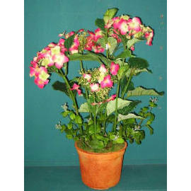 26``H HYDRANGEA IN POT (26``H HYDRANGEA IN POT)