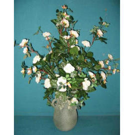 25``H POTTED ROSE (25``H Zimmerpflanzen ROSE)