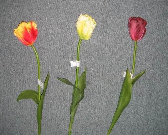 Tulip Spray-27`` (Tulip Spray-27``)