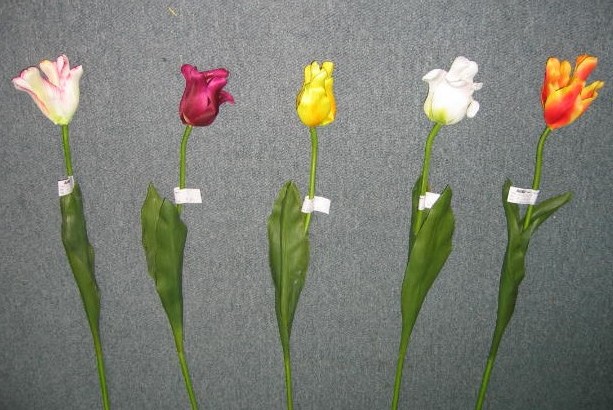 Tulip Spray-27`` (Tulip Spray-27``)