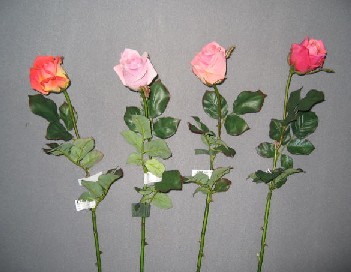 Rose Spray- 30`` (Роза Spray-30``)