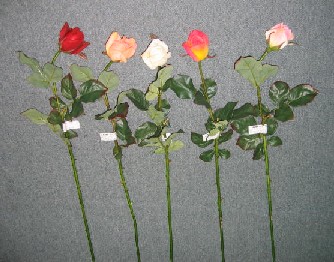 Rose Spray- 30`` (Роза Spray-30``)