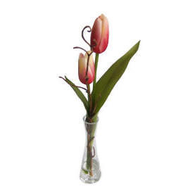 13``H TULIP IN VASE (13``H TULIP в вазе)