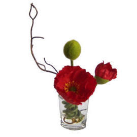 8``H POTTED POPPY (8``H EMPOTE PAVOT)