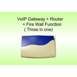 VoIP Router