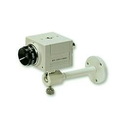 CCD camera (CCD camera)