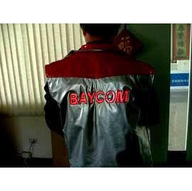 Safe vest of EL plate (Gilet de sécurité de la plaque d`EL)