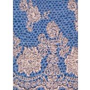 Embroidery lace (Broderie de dentelle)