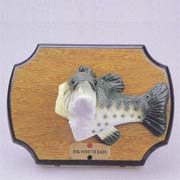 SINGING FISH (Singende Fisch)