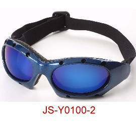 Skiing Goggle (Skiing Goggle)