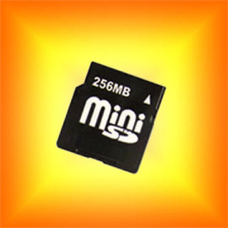 Mini SD / SD Card / Flash Memory Card (Mini SD / SD-Card / Flash Memory Card)