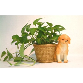Puppy Flower Pot (Puppy Flower Pot)