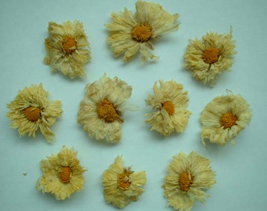  Dehydrated Chrysanthemum (Déshydratés Chrysanthemum)