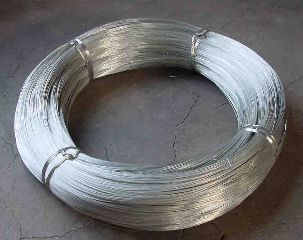  Electro Galvanized Iron Wire (Электро оцинкованного железа Wire)
