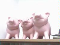  Piggy Banks ( Piggy Banks)