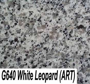  White Leopard (White Leopard)