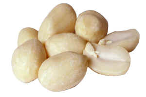 Supply Blanched Hsuji Peanuts