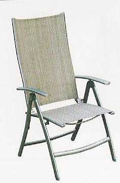  Beach Chair (Beach Chair)