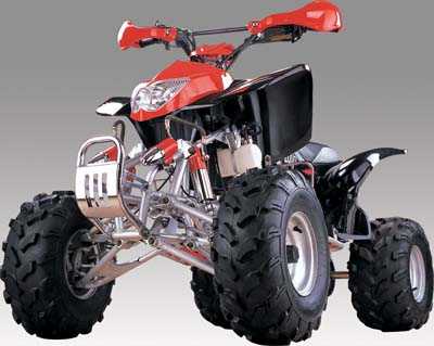  ATV 250cc ( ATV 250cc)