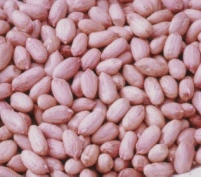  Chinese Peanut (Groundnut) , Crop 2006