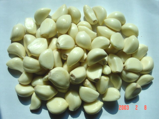  Garlic Products ( Garlic Products)