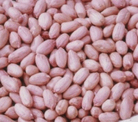  Chinese Peanuts