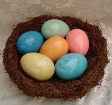  Color Egg (Couleur des oeufs)