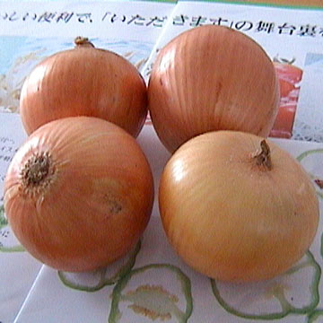  Fresh Onion