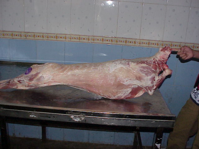  Lamb Carcass (Lamb Carcass)