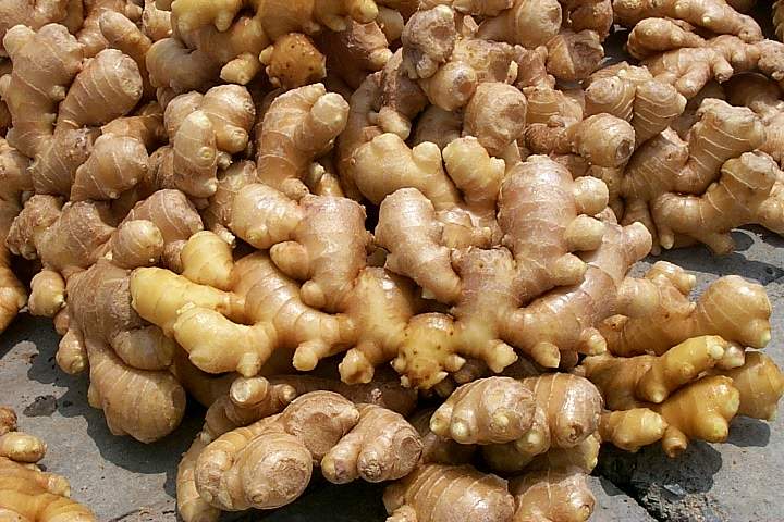  Fresh Ginger (Свежий имбирь)