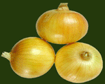  Welsh Onion (Валлийский луком)
