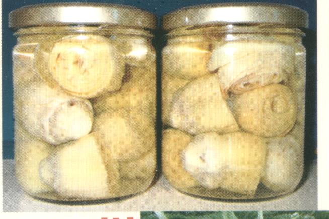  Artichokes In Brine, Tinns And Jars (Artichauts en saumure, Tinns et bocaux)