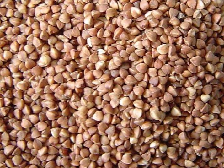  Buckwheat (Sarrasin)